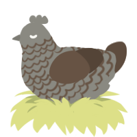 Steel, a ash and bark chicken with a lace pattern