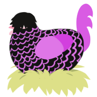 A black and orchid chicken with a lace pattern