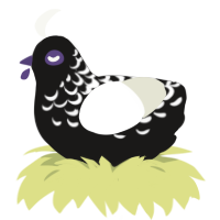 A sable and white chicken with a half-lace pattern