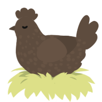 A bark chicken with a speckle pattern