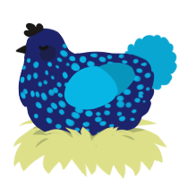 A navy and cerulean chicken with a speckle pattern