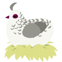 A white and ash chicken with a half-lace pattern