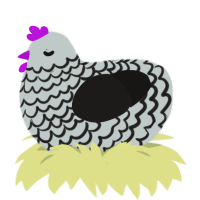 A silver and sable chicken with a lace pattern