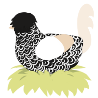A sable and cream chicken with a double-lace pattern