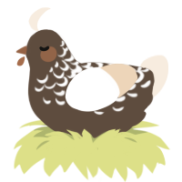 A bark and cream chicken with a half-lace pattern