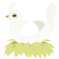 Salt, a white chicken with a double-lace pattern