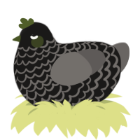 A sable and grey chicken with a lace pattern