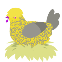 (unnamed), a yellow and ash chicken with a double-lace pattern