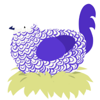 A white and indigo chicken with a double-lace pattern