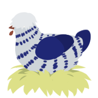 Sapphire, a mist and navy chicken with a bar pattern