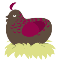 A bark and maroon chicken with a half-lace pattern