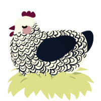 A white and tumblr chicken with a double-lace pattern