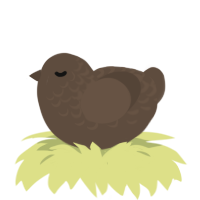 A bark chicken with a half-lace pattern