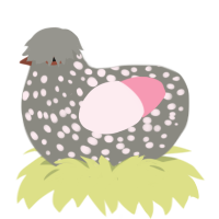 A ash and rose chicken with a speckle pattern