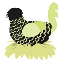 (unnamed), a sable and lemon chicken with a lace pattern