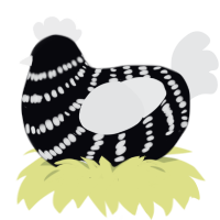 Teardrop, a white and sable chicken with a bar pattern