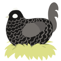 A sable and grey chicken with a lace pattern