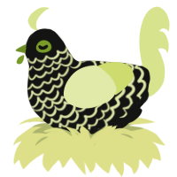 A black and lemon chicken with a lace pattern