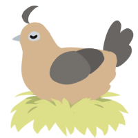 A beige and grey chicken