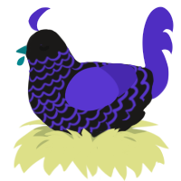 Highlighter, a sable and indigo chicken with a lace pattern