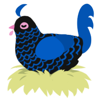 Starburst, a black and ultramarine chicken with a lace pattern