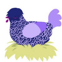 A navy and lilac chicken with a double-lace pattern
