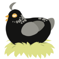A black and ash chicken with a neck-speckle pattern