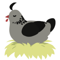 A ash and black chicken with a neck-speckle pattern