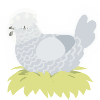 A mist chicken with a lace pattern