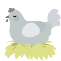A silver and mist chicken