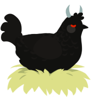 A black and sable chicken with a half-lace pattern