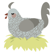 A silver and ash chicken with a double-lace pattern