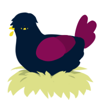 dusk, a tumblr and wine chicken