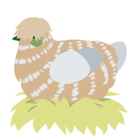 A beige and mist chicken with a bar pattern