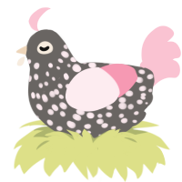 A grey and rose chicken with a speckle pattern