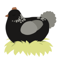 A sable and ash chicken with a neck-speckle pattern