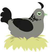 There is a Light, a ash and sable chicken with a neck-speckle pattern