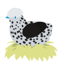 A mist and sable chicken with a speckle pattern