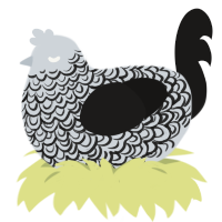 A mist and sable chicken with a double-lace pattern