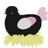 A sable and pink chicken