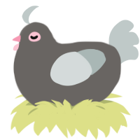 Pigeoooon, a grey and silver chicken
