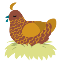 Erosion, a russet and ochre chicken with a lace pattern