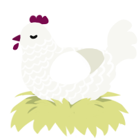 Snowberry, a white chicken with a lace pattern