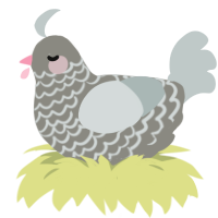 (unnamed), a ash and silver chicken with a lace pattern