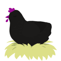A sable chicken with a half-lace pattern