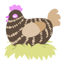 Mocha, a bark and beige chicken with a bar pattern