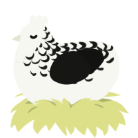 A white and black chicken with a half-lace pattern