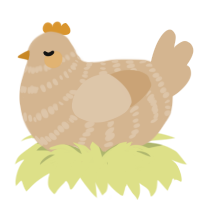 A beige chicken with a bar pattern