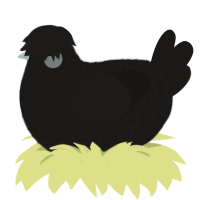 A sable chicken with a lace pattern