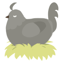 A ash chicken with a head pattern